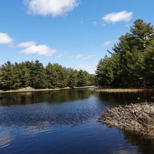 Meet your Posher, Nell